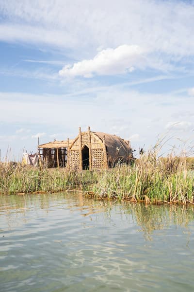 Mesopotamian Marshes