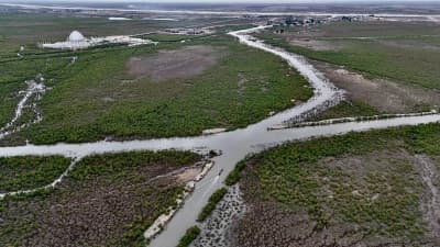 Marshes from Above