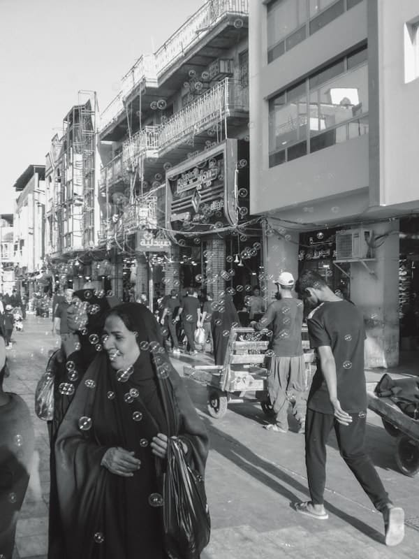 Southern Adventure - Photo 1